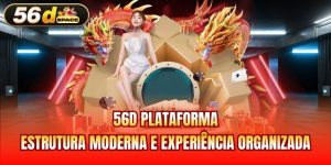 56D Plataforma - Estrutura Moderna E Experiência Organizada